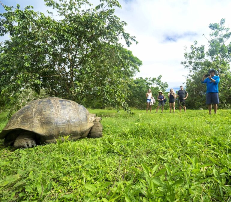 Galapagos Reizen 4 Beleving Atacama Be