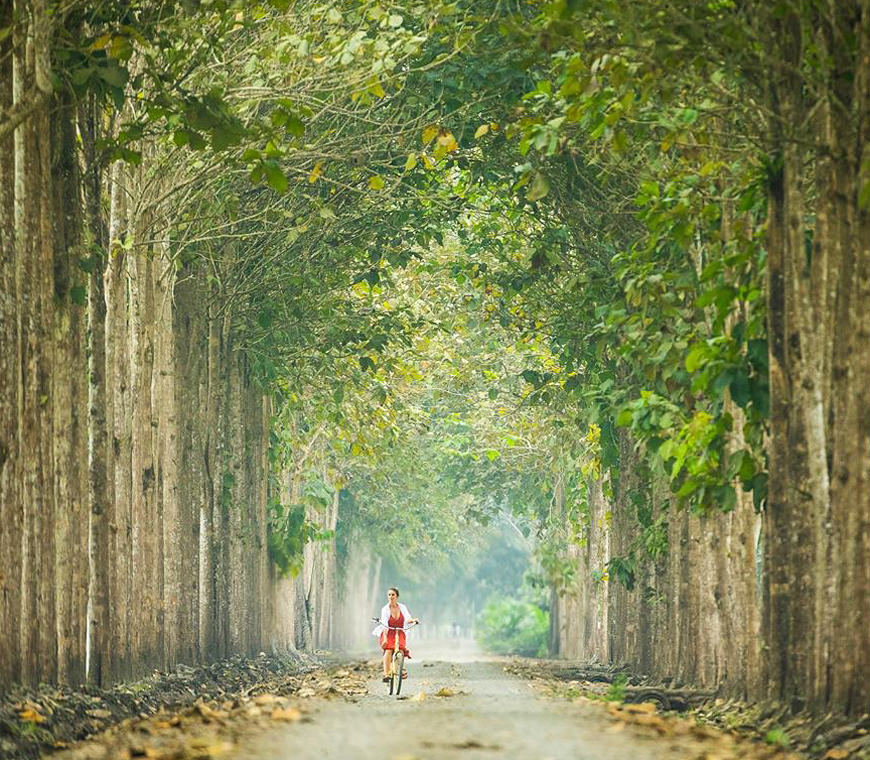 Tegel2 Hacienda La Danesa Ecuador