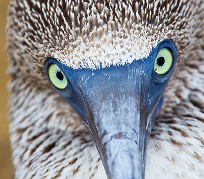 Ecuador Reizen Faq 3}