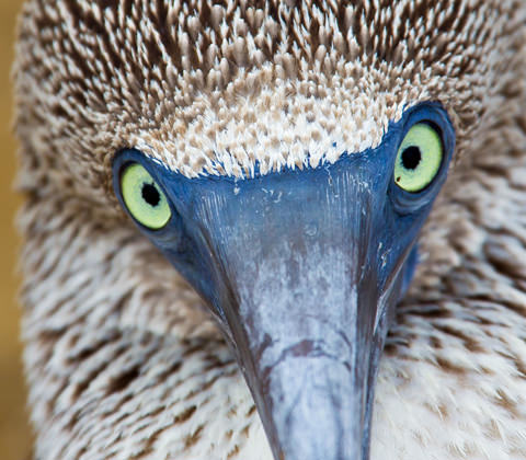 Ecuador Reizen Filter1