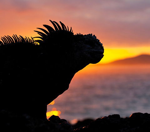 Ecuador Reizen Filter5