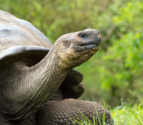 Ecuador Reizen Filter6