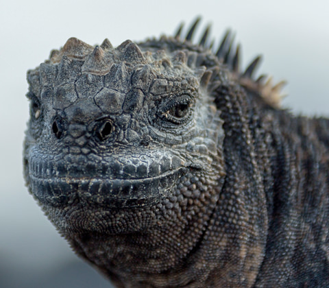 Ecuador Reizen Filter8