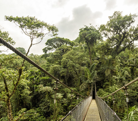 Ecuador Regenwoud Rainforest Explorer Reizen Atacama
