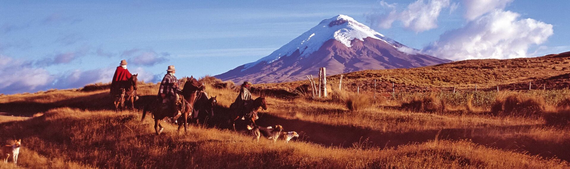 Ecuador Reis Cotopaxi 74895 Pano
