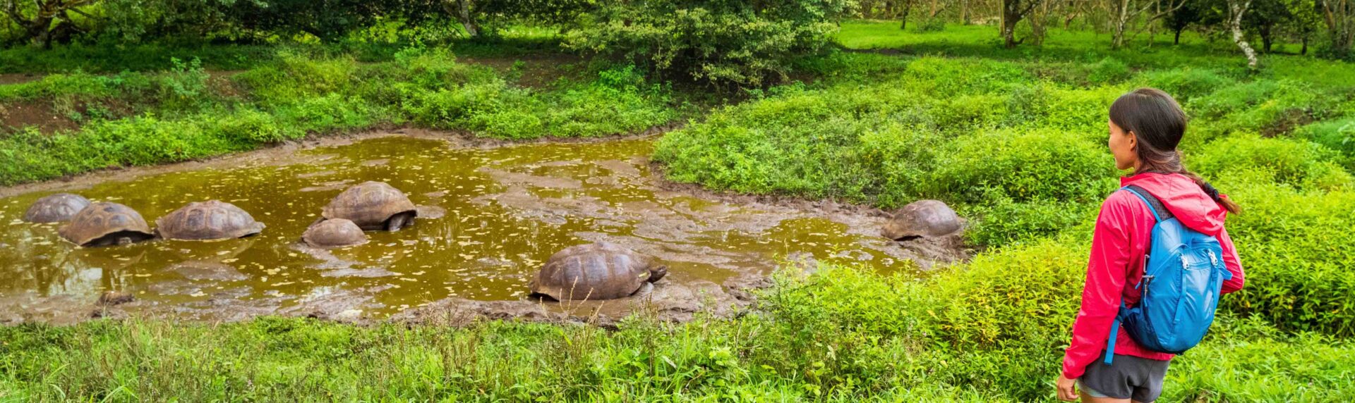 Galapagos Pano 41288