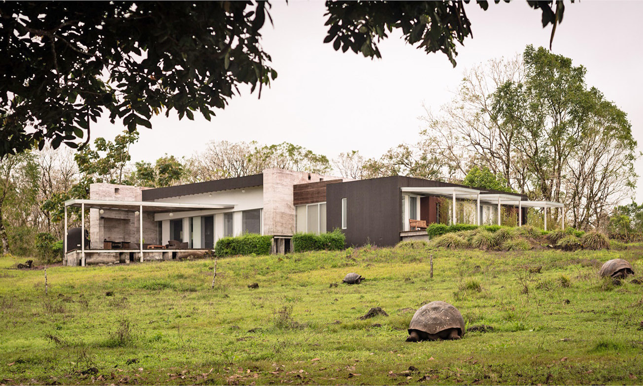 Galapagos Montemar 7