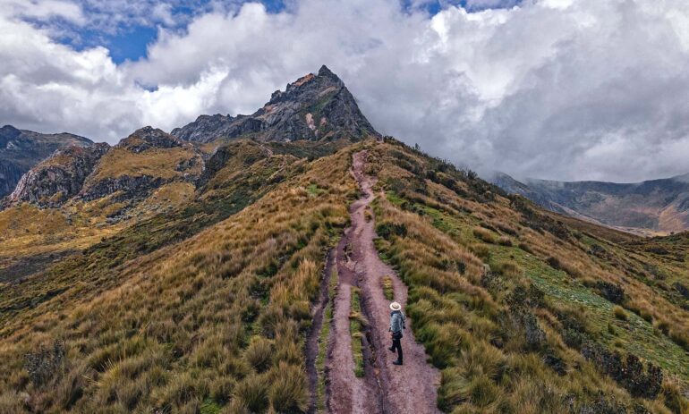 Ecuador Reis 12435688