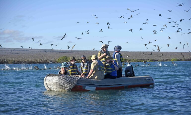 Galapagos Cruise Atacama Be 1