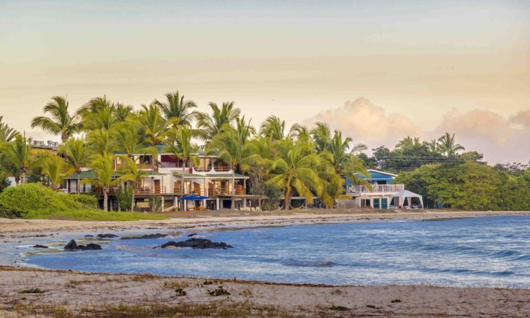 Galapagos Square 9118