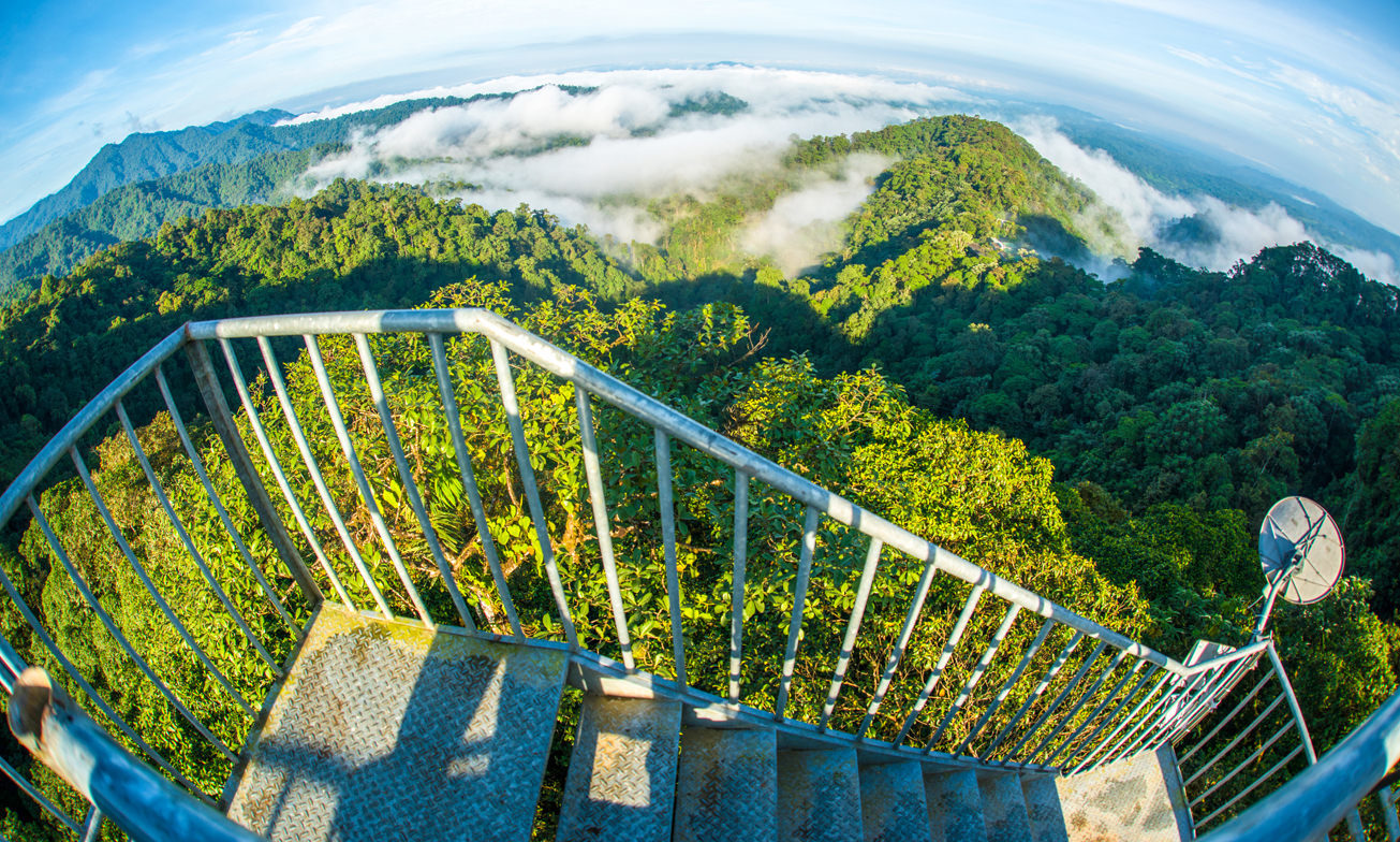 Ecuador Reis Masphi Lodge Pic6