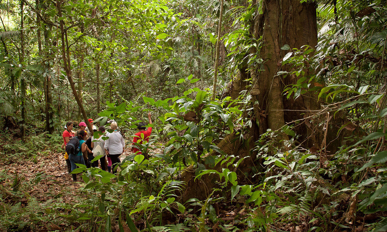 Ecuador Reizen Amazone Yasuni Lodge11