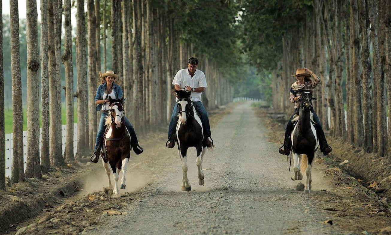 Vierkant1 Hacienda La Danesa Ecuador
