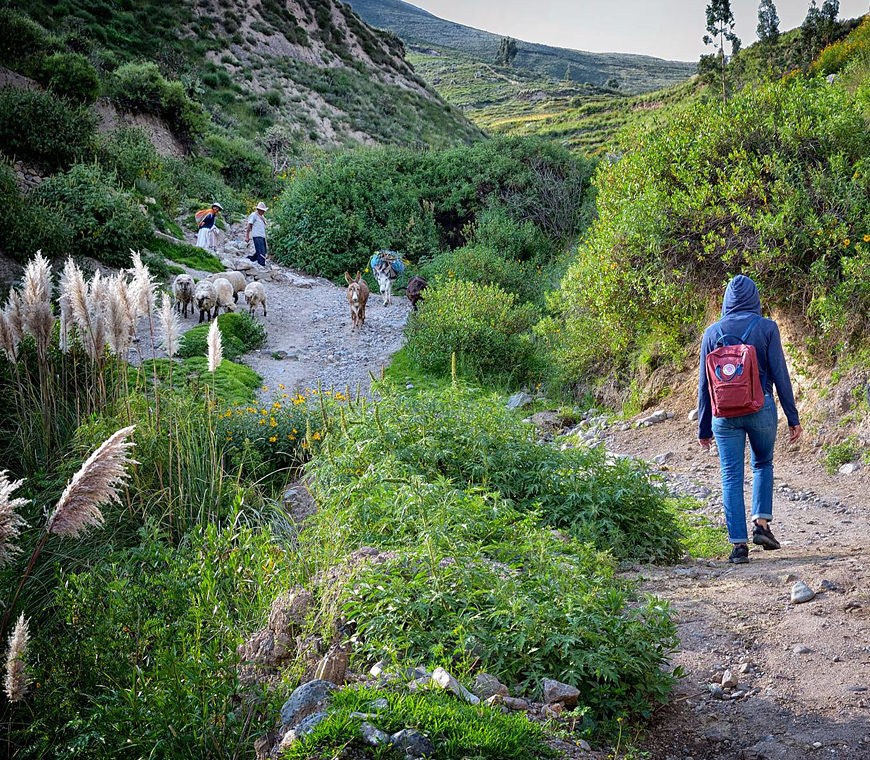 Atacama Peru Reizen Colca Vallei Hike