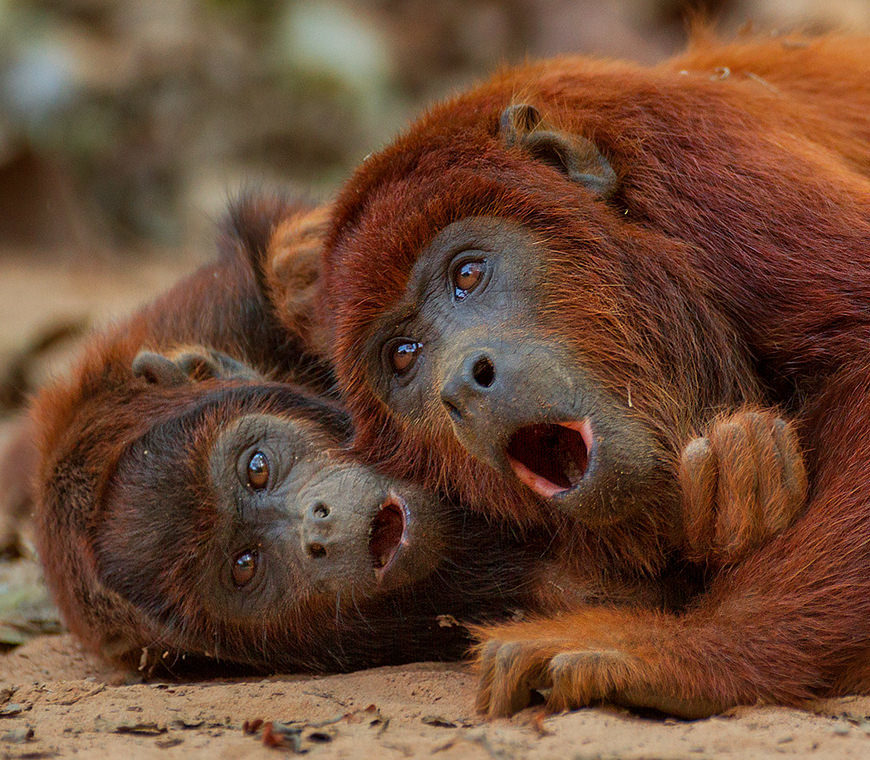 Atacama Peru Reizen © Lucas Bustamente Amazone 2