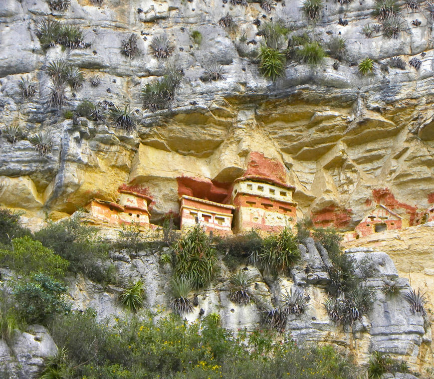 Peru Reis Specialist Chachapoyas8