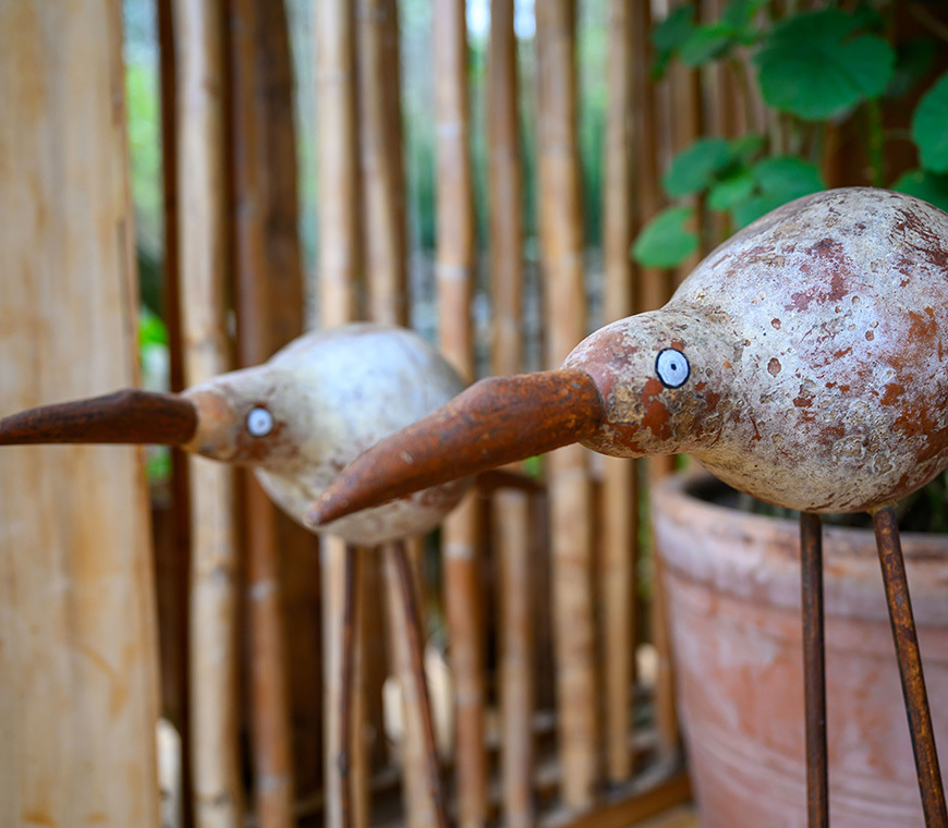 Peru Chachapoyas Gocta Natura Reserve © Carl De Meyer 2