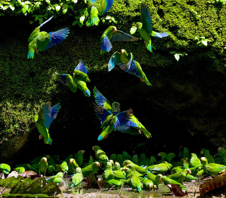 Peru Reizen Tambopatanationaalpark Atacama Reizen