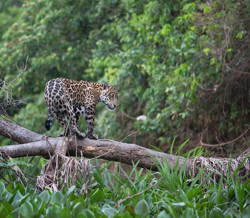 Atacama Peru Reizen Hoogtepunten2