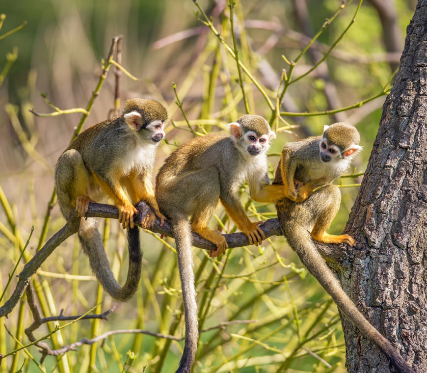 Peru Reis Tegel Atacama5