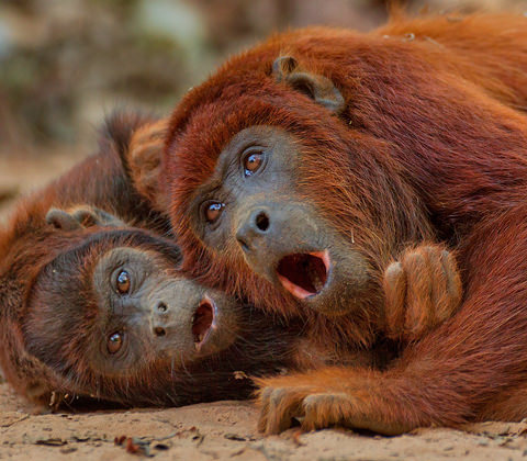 Peru Reizen Filter 6