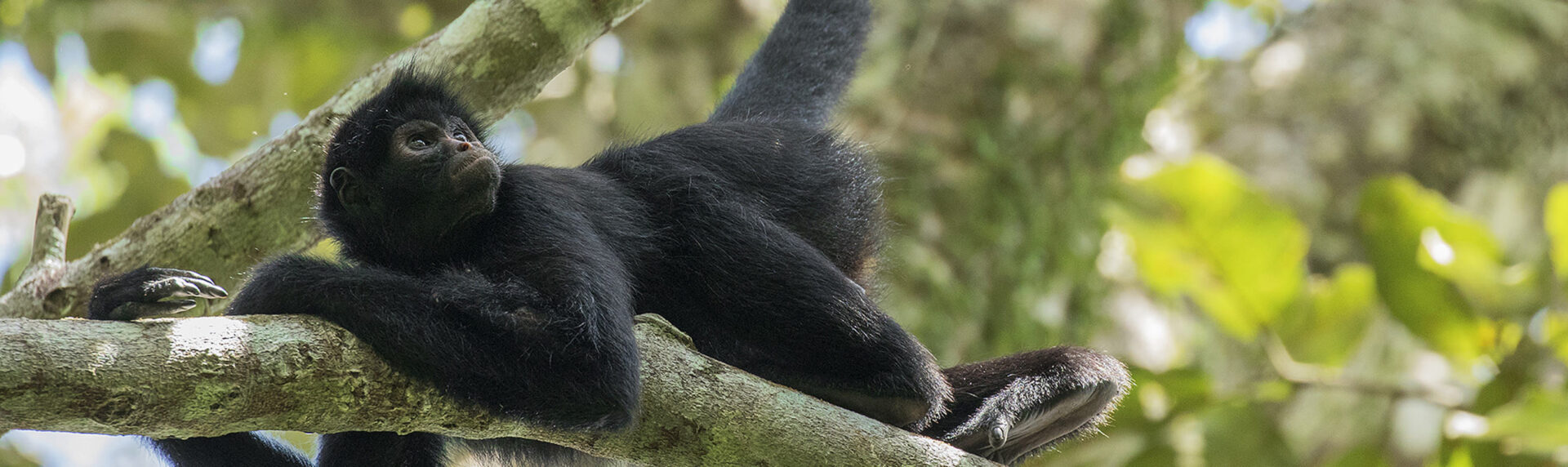Peru Rondreizen Atacama13