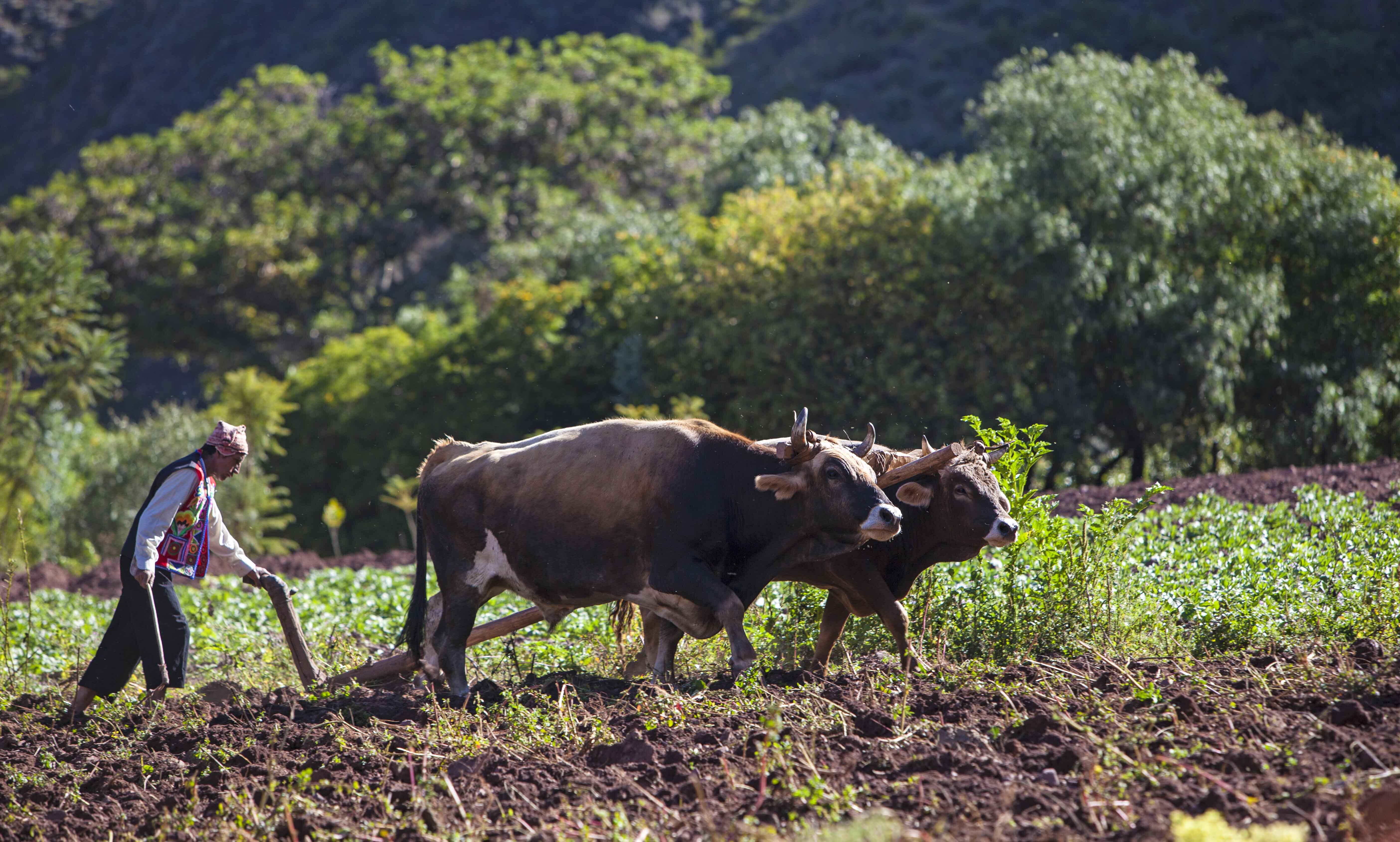 Inkaterra Hacienda Urubamba Peru Highendtravel Exterior