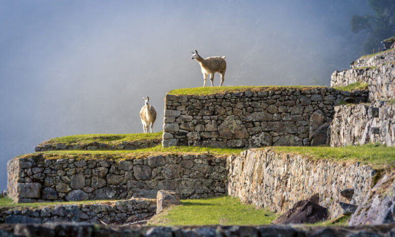 Peru Rondreizen Atacama10