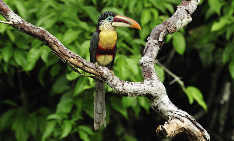 Peru Rondreizen Atacama18