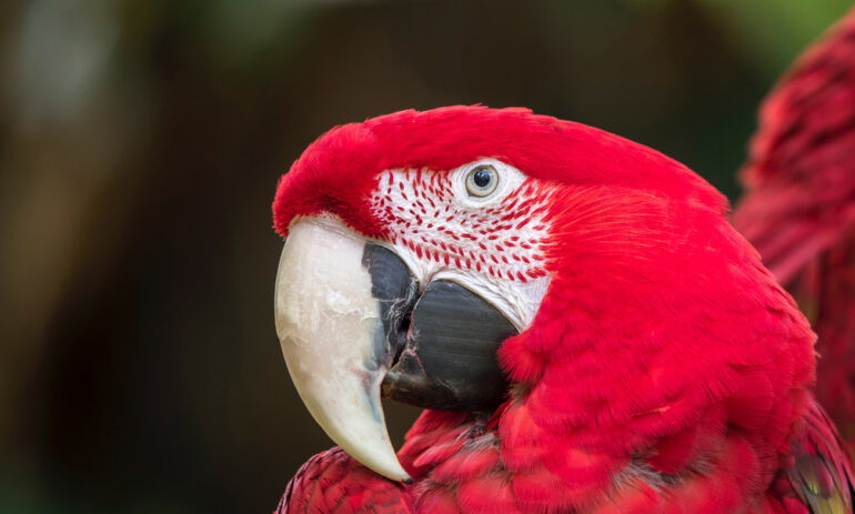 Peru Individuele Rondreis2