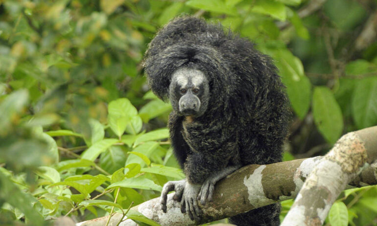 Peru Individuele Rondreis49