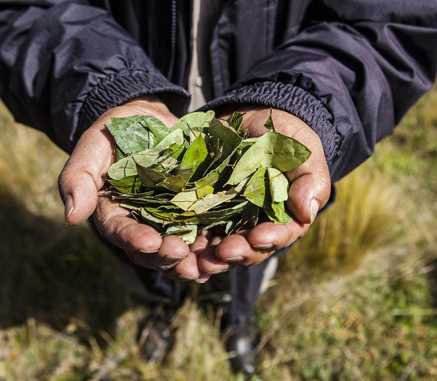 8 Bolivia Profundo Rondreis Atacama