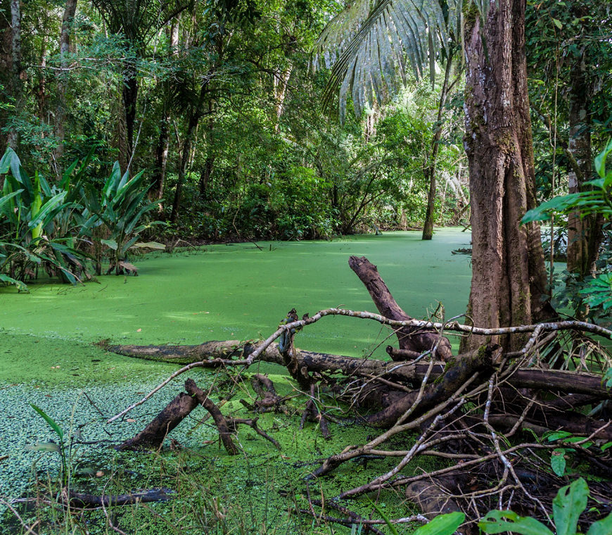 9 Bolivia Profundo Rondreis Atacama