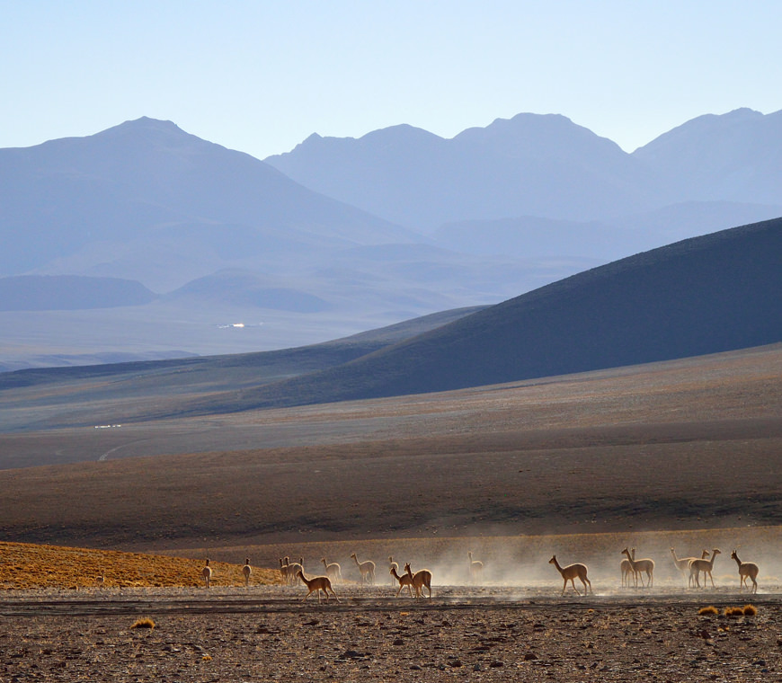Atacama Bolivie Reizen Uyuni10 © Helen De Meyer