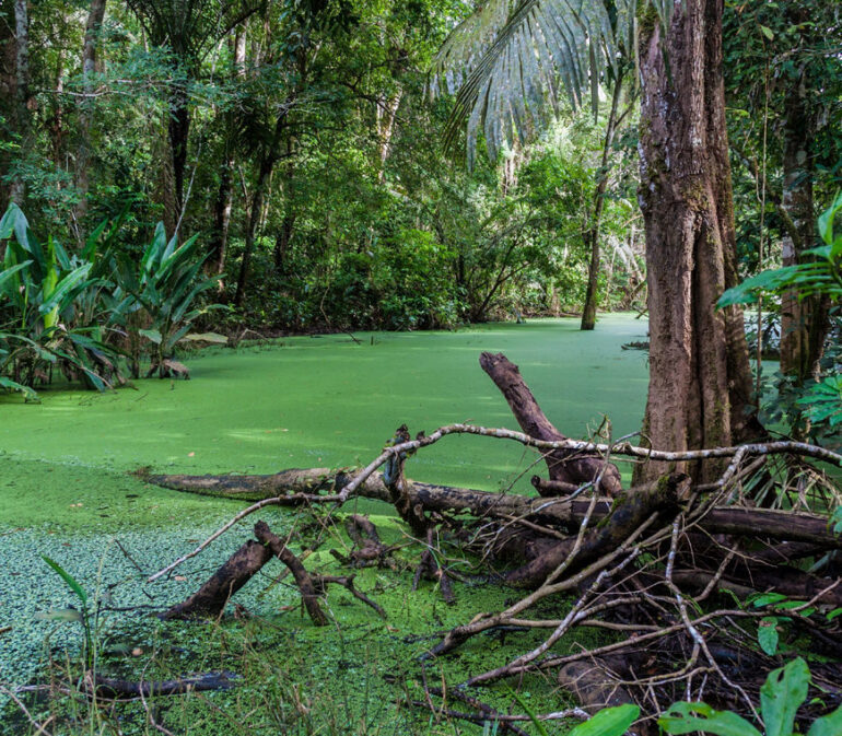 9 Bolivia Profundo Rondreis Atacama