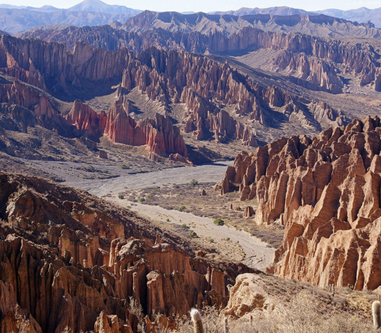 Atacama Bolivie Reizen Tupiza