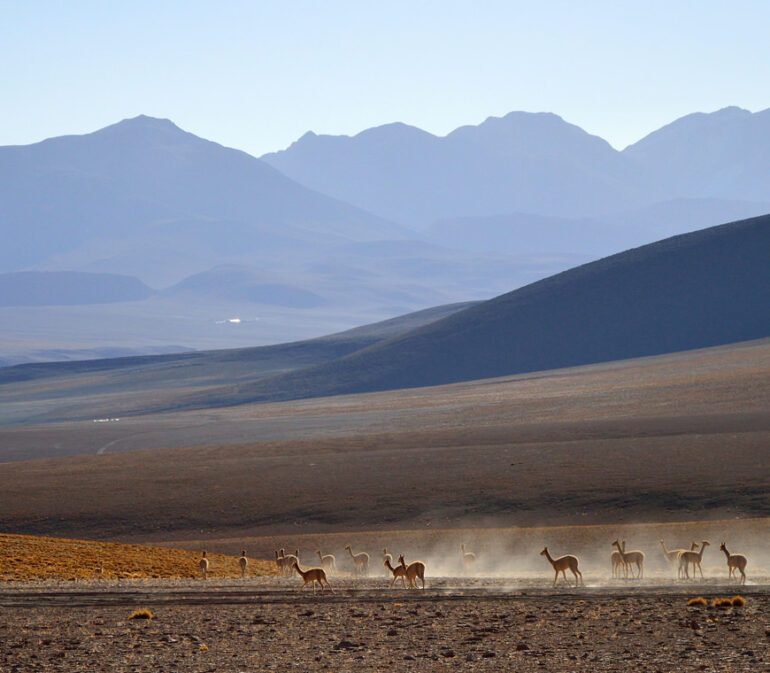 Atacama Bolivie Reizen Uyuni10 © Helen De Meyer