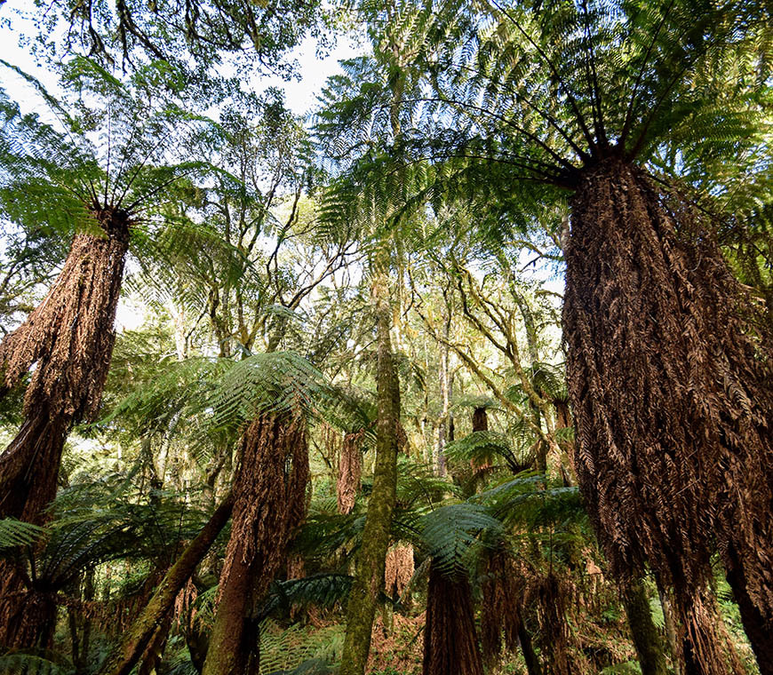 Atacama Be Bolivia Amboro Samaipata 10