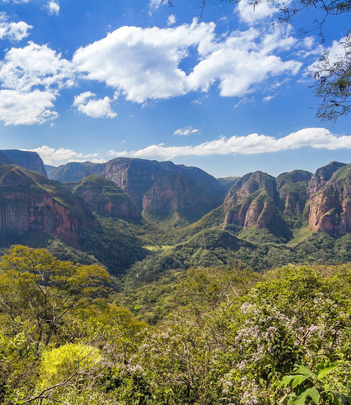 Bolivie Amboro Nationaal Park Atacama Reizen