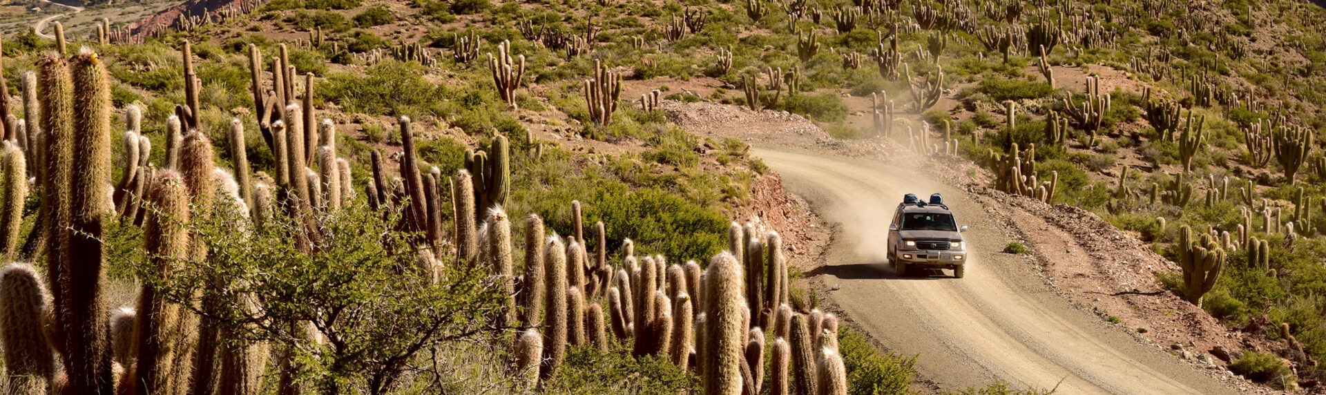 Bolivie Cordillera Lipez Uyuni3