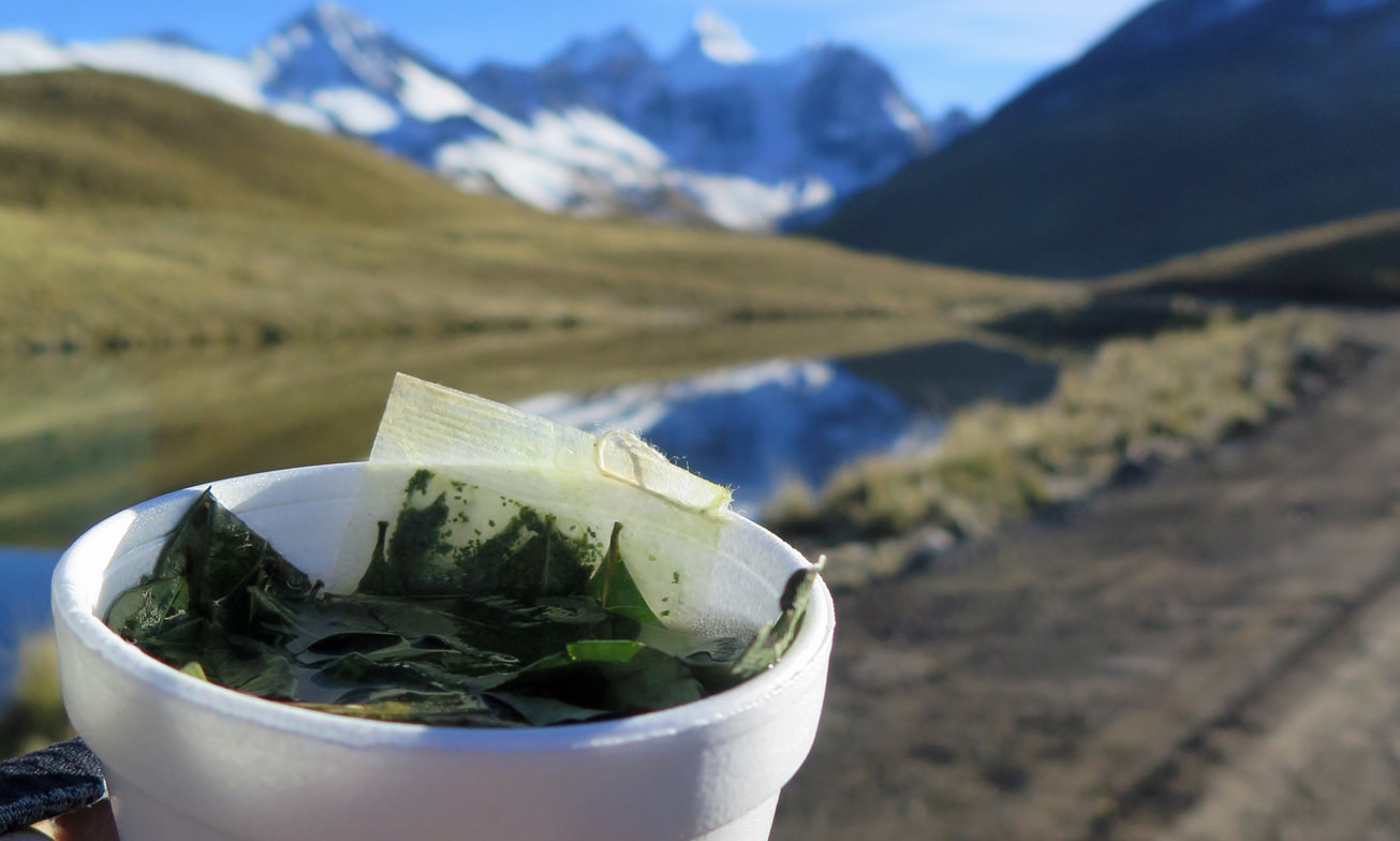 Atacama Bolivie Reis Condoriri Trek11