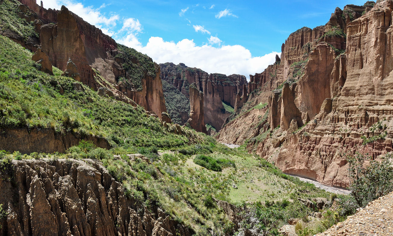 Bolivie Reizen Atacama Specialist 1 4