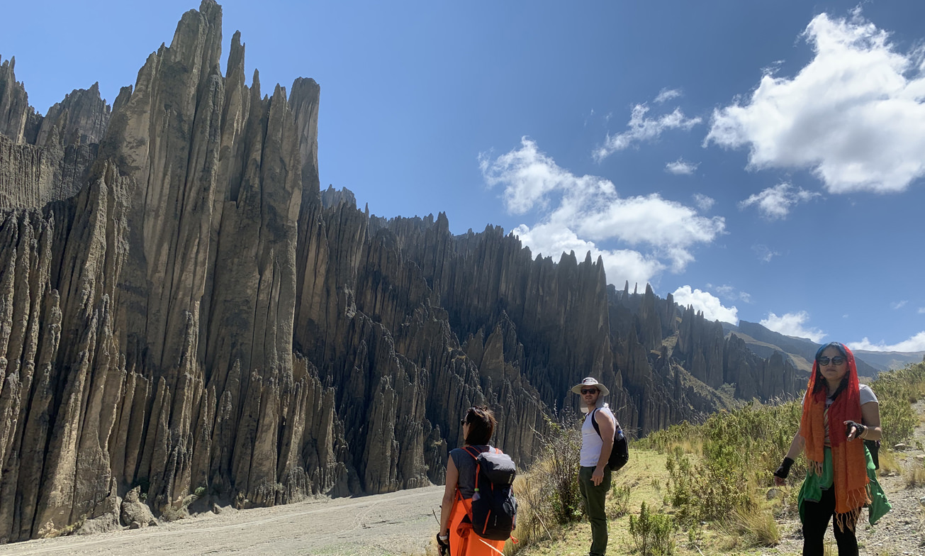 Palca2 Atacama Bolivie Reis