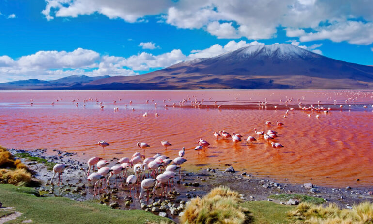 Bolivie Reizen Atacama Specialist 1 11