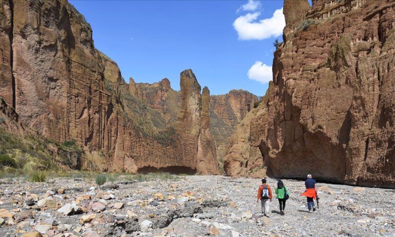 Palca Atacama Bolivie Reis