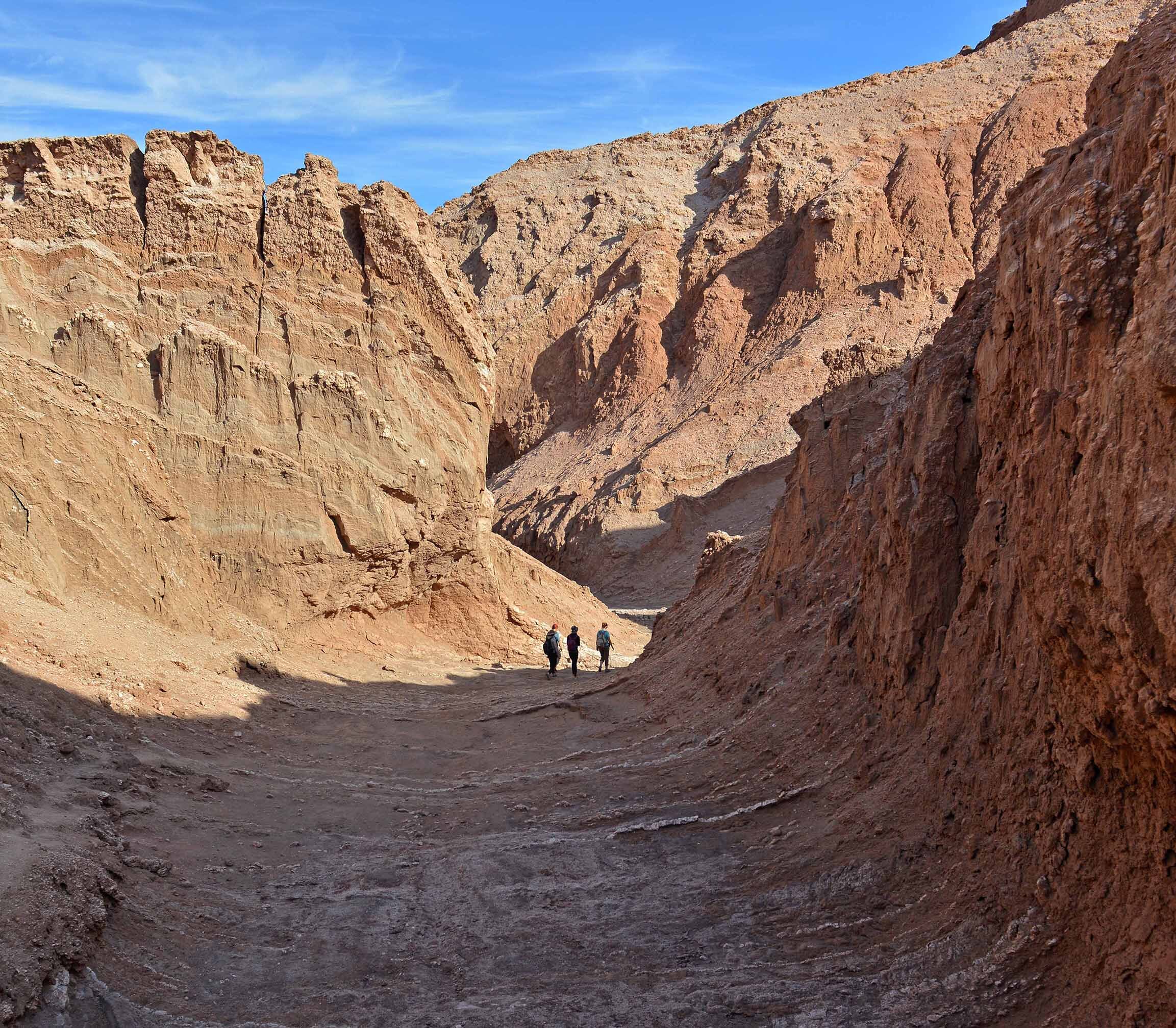 Atacama Be Kari Chili1