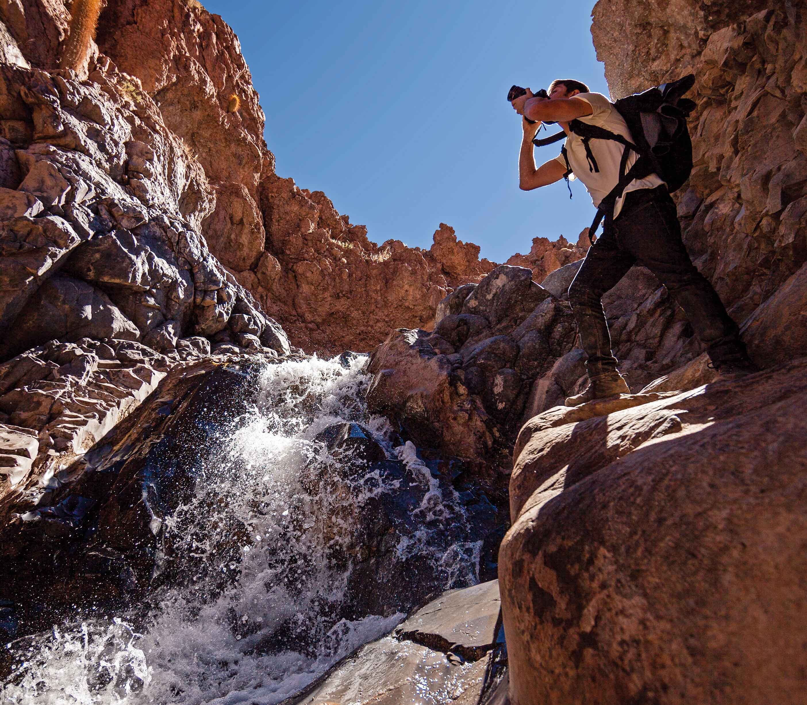 Atacama Be Cactus Chili3
