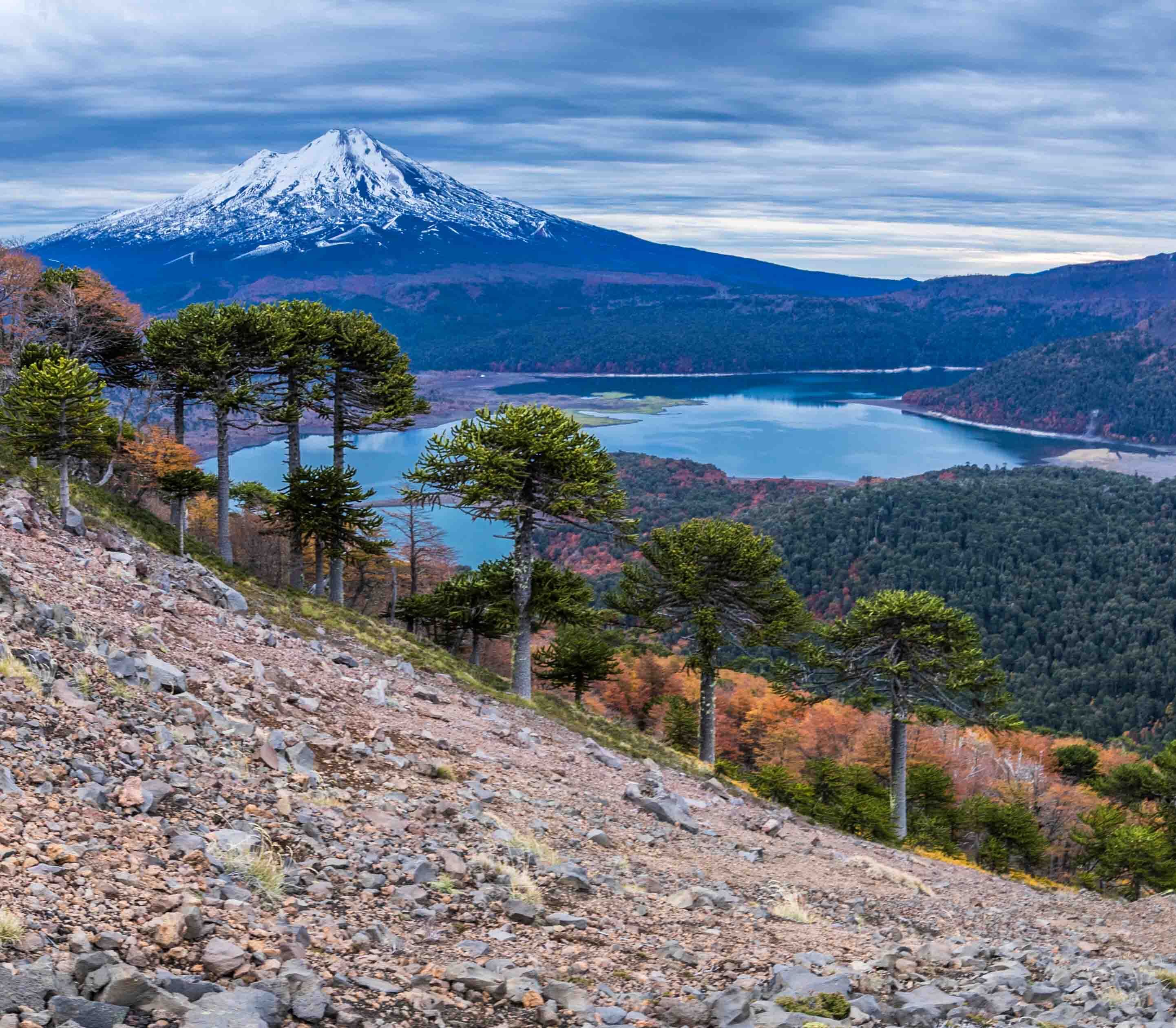 Chile Conguillo 790 Atacama Be