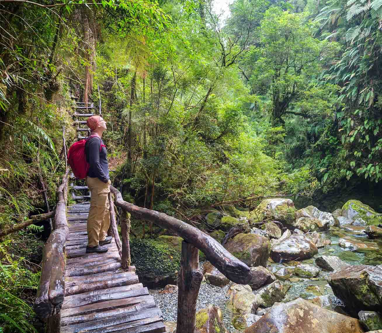 Patagonie Chili Pumalin