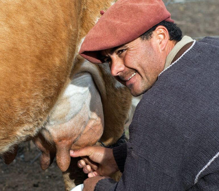 Patagonie Reizen Chili Atacama Reizen15